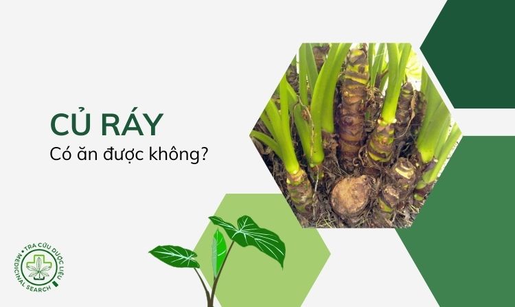 Giải đáp: Củ ráy có ăn được không? 1