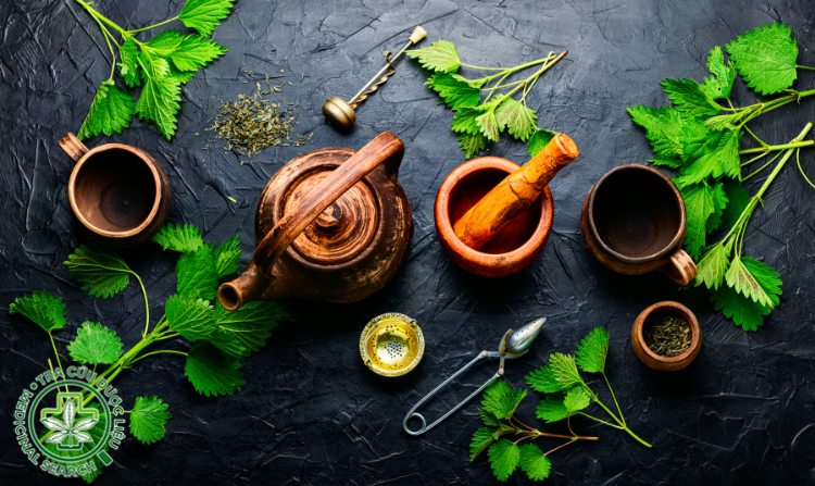 2. Làm sao để dùng thuốc nam không hại thận? 1