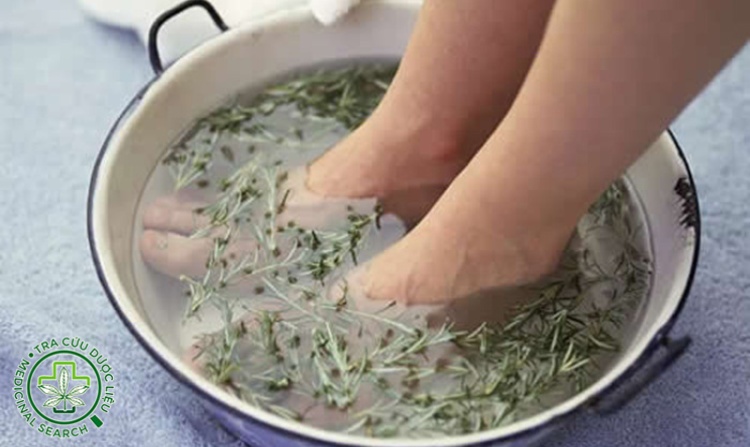 1.6. Ngải cứu - nước ngâm chân tốt 1
