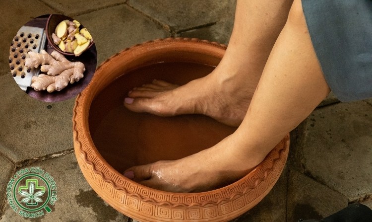 1.1. Gừng - thảo dược quý ngâm chân tốt cho người bị lạnh 1