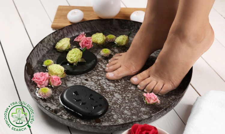 1.3. Cây hồng hoa - thảo dược quý ngâm chân tốt 1