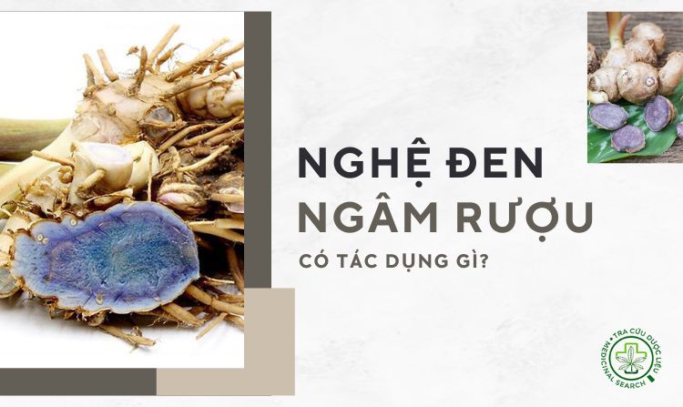 Nghệ đen ngâm rượu có tác dụng gì? 1 Nghệ đen ngâm rượu có tác dụng gì? 1