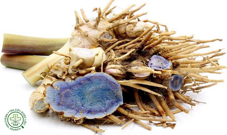 Tác dụng của nghệ đen ngâm rượu 1 Tác dụng của nghệ đen ngâm rượu 1