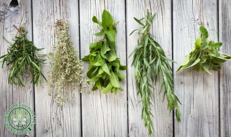 2. Nhược điểm khi dùng thuốc nam chữa bệnh 1 2. Nhược điểm khi dùng thuốc nam chữa bệnh 1