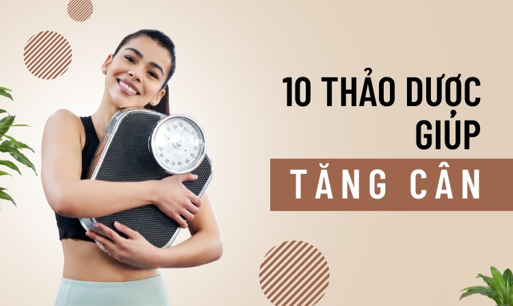 Hướng dẫn cách dùng 10 loại thảo dược giúp tăng cân 1 Hướng dẫn cách dùng 10 loại thảo dược giúp tăng cân 1