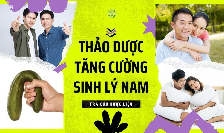 Tiết lộ 9 loại thảo dược tăng cường sinh lý nam 1