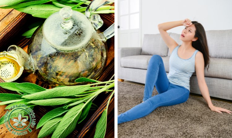 4. Dùng thuốc nam nhiều có nóng trong không? 1