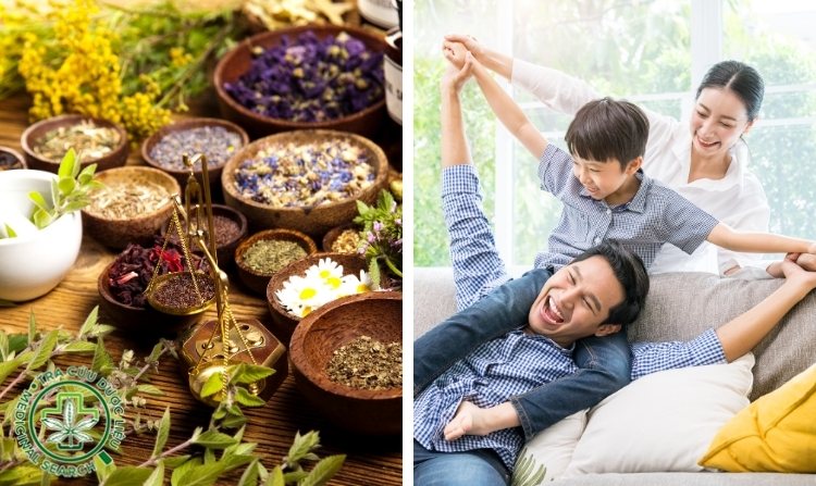 3. Một số loại thuốc nam có tác dụng bồi bổ cơ thể 1 3. Một số loại thuốc nam có tác dụng bồi bổ cơ thể 1