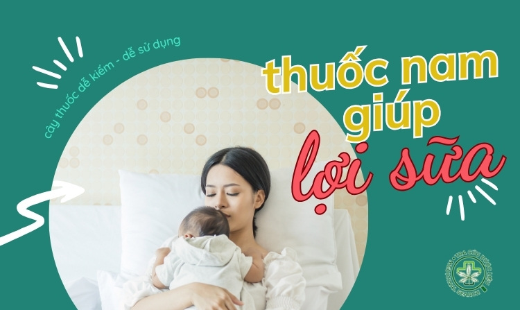 Danh sách 12 cây thuốc nam giúp lợi sữa rất tốt 1 Danh sách 12 cây thuốc nam giúp lợi sữa rất tốt 1