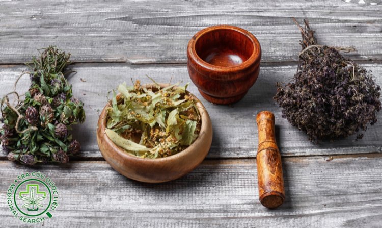 1.2. Thuốc chứa nhiều tạp chất không rõ nguồn gốc 1