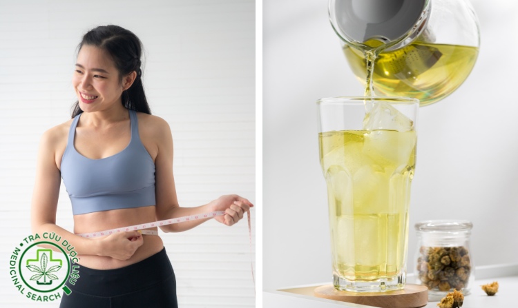 8. Hoa cúc - thảo dược giúp tăng cân 1 8. Hoa cúc - thảo dược giúp tăng cân 1