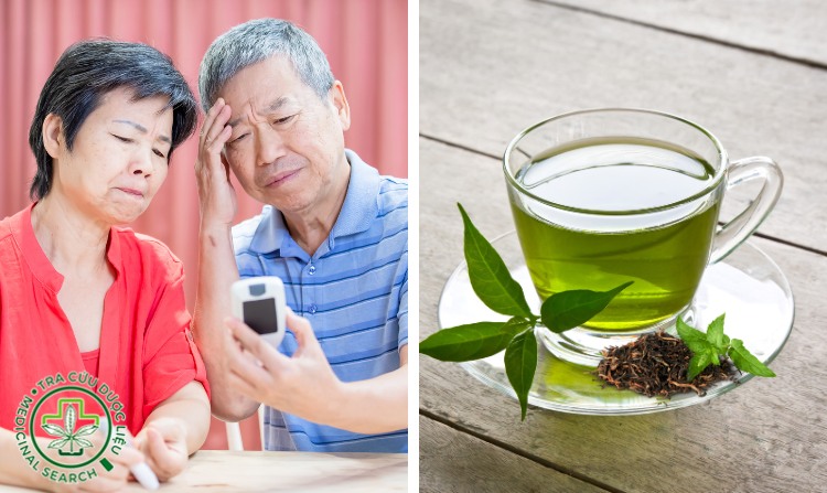 8. Cây chè xanh giúp trị tiểu đường hiệu quả 1 8. Cây chè xanh giúp trị tiểu đường hiệu quả 1