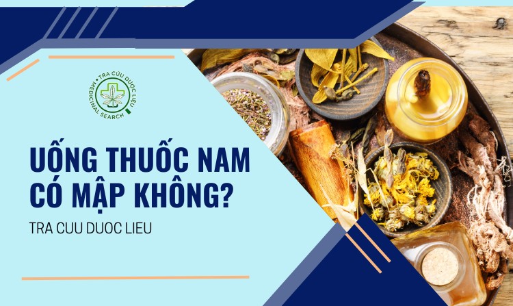 Uống thuốc nam có mập không? Lưu ý khi dùng? 1 Uống thuốc nam có mập không? Lưu ý khi dùng? 1