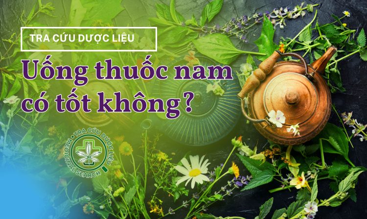 Uống thuốc nam có tốt không? Ưu và nhược điểm? 1 Uống thuốc nam có tốt không? Ưu và nhược điểm? 1