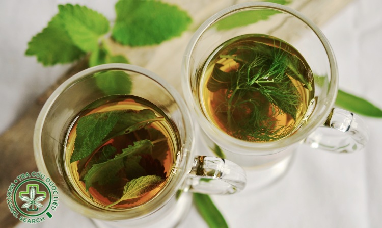 2. Làm sao để uống thuốc nam đạt hiệu quả cao? 1