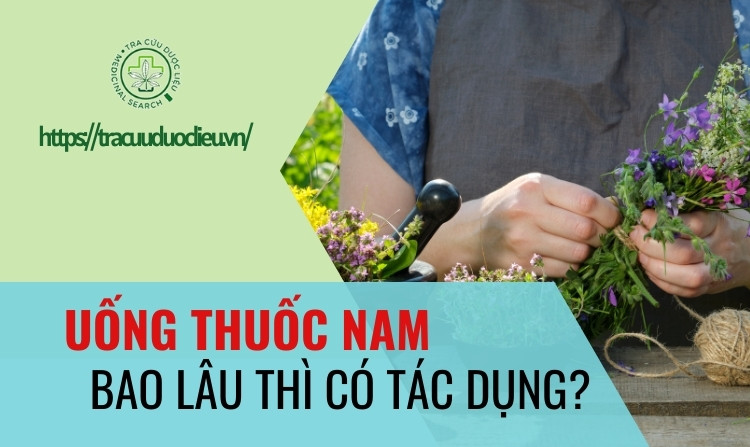 Giải đáp: Uống thuốc nam bao lâu thì có tác dụng? 1