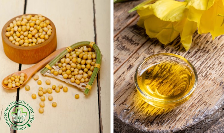 Tinh dầu hoa anh thảo kết hợp với mầm đậu nành có tác dụng gì? 1