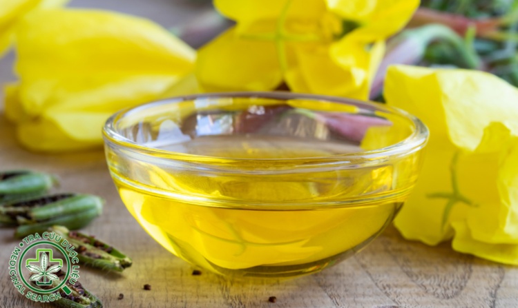 Tinh dầu hoa anh thảo có cải thiện được bệnh u nang không? 1