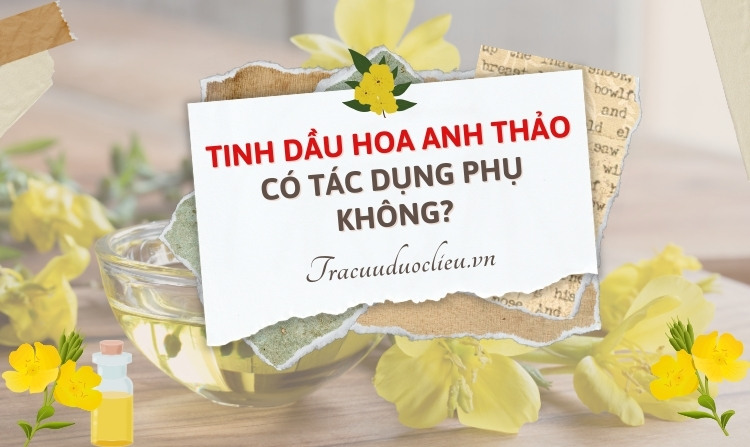 Cảnh báo: Tinh dầu hoa anh thảo có tác dụng phụ không? 1 Cảnh báo: Tinh dầu hoa anh thảo có tác dụng phụ không? 1