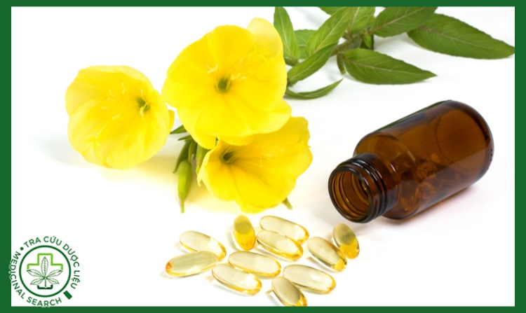 2. Uống tinh dầu hoa anh thảo lâu có sao không? 1