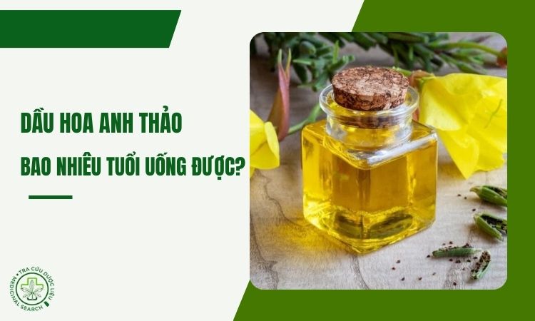 Dầu hoa anh thảo bao nhiêu tuổi uống được? 1 Dầu hoa anh thảo bao nhiêu tuổi uống được? 1