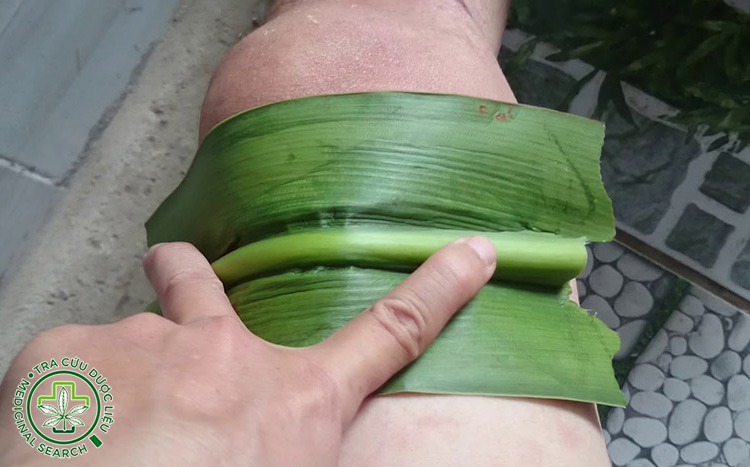 Bài thuốc với đại tướng quân 1