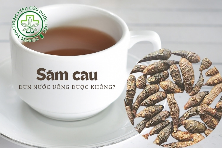 Sâm cau có đun nước uống được không? 1