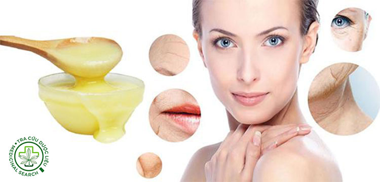 Kết hợp collagen và sữa ong chúa có lợi ích gì? 1