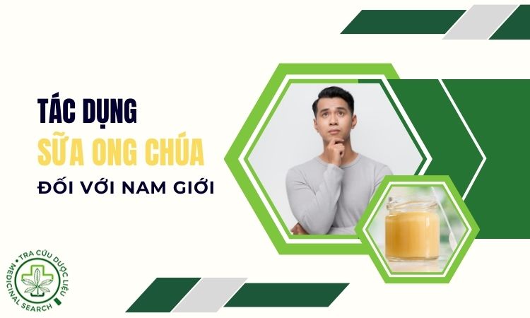 Tác dụng của sữa ong chúa với nam giới 1