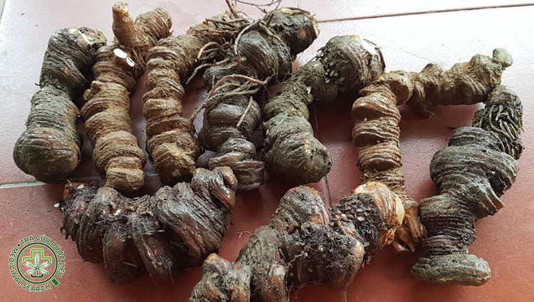 Công dụng theo y học cổ truyền 1 Công dụng theo y học cổ truyền 1