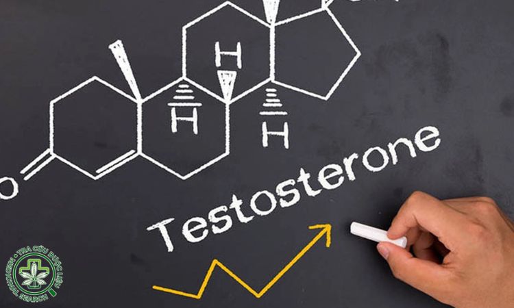 Tăng cường testosterone, cải thiện sinh lý 1