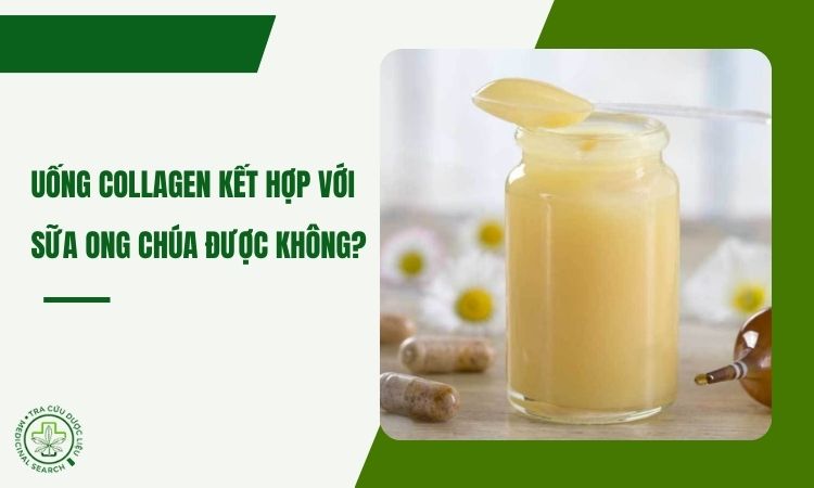 Giải đáp: Uống collagen kết hợp sữa ong chúa được không? 1