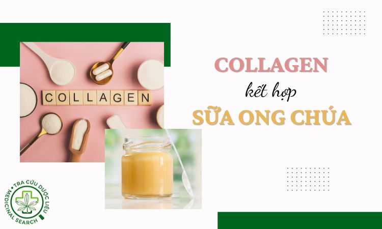 Giải đáp: Uống collagen kết hợp sữa ong chúa được không? 1 Giải đáp: Uống collagen kết hợp sữa ong chúa được không? 1