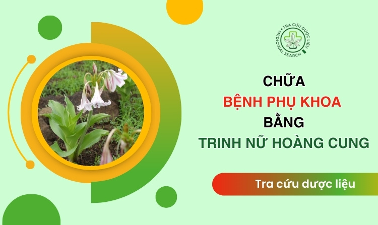 Chữa phụ khoa bằng trinh nữ hoàng cung hiệu quả không? 1