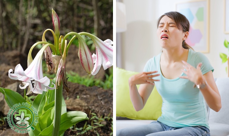 2. Nguyên nhân dẫn đến hiểu lầm trinh nữ hoàng cung gây nóng 1
