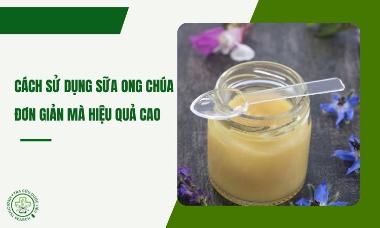 6 cách sử dụng sữa ong chúa đơn giản mà hiệu quả cao 1