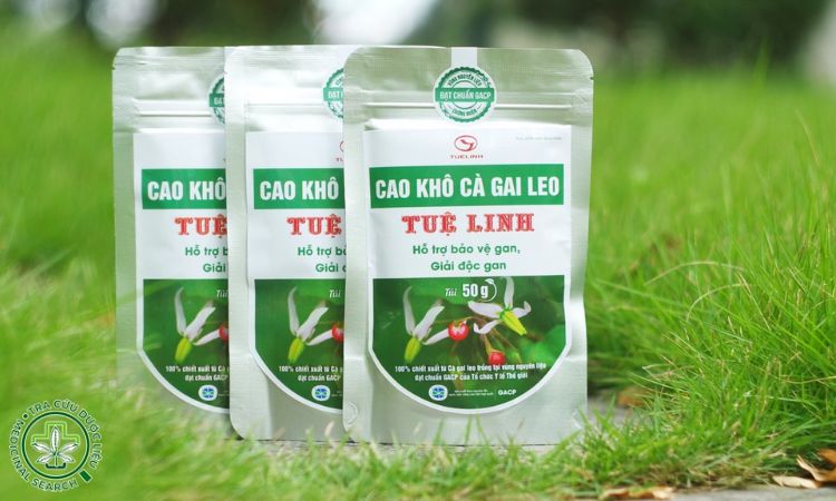 Cao cà gai leo 1 Cao cà gai leo 1