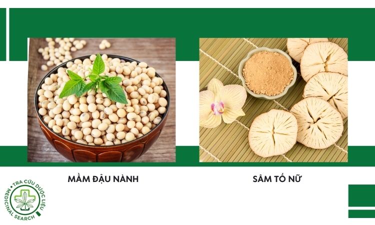 Lưu ý khi dùng mầm đậu nành - sâm tố nữ 1