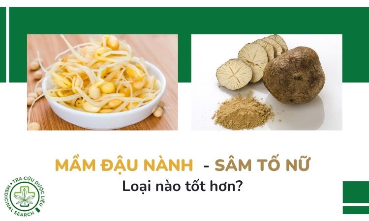 Mầm đậu nành - sâm tố nữ: Loại nào tốt hơn? 1