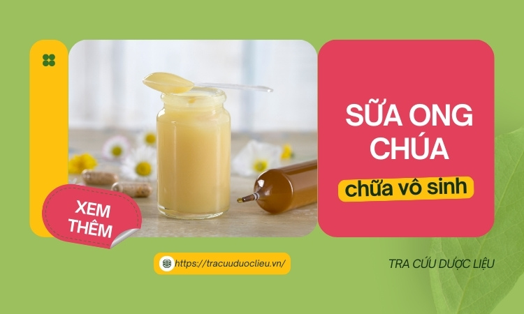 Sữa ong chúa có phải là giải pháp chữa vô sinh hiệu quả? 1