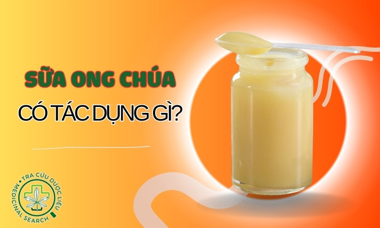 Tìm hiểu ngay 11 tác dụng nổi bật của sữa ong chúa 1