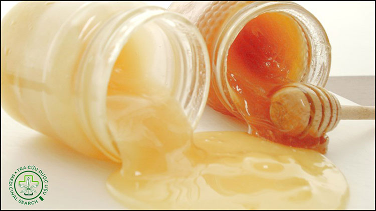 3. Pha sữa ong chúa với mật ong 1