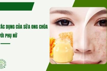 7 tác dụng độc đáo của sữa ong chúa đối với phụ nữ 7 tác dụng độc đáo của sữa ong chúa đối với phụ nữ