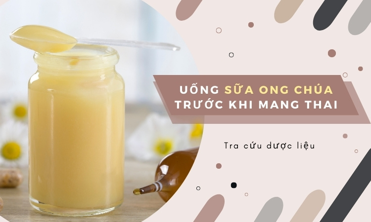 Uống sữa ong chúa trước khi mang thai có tác dụng gì? 1