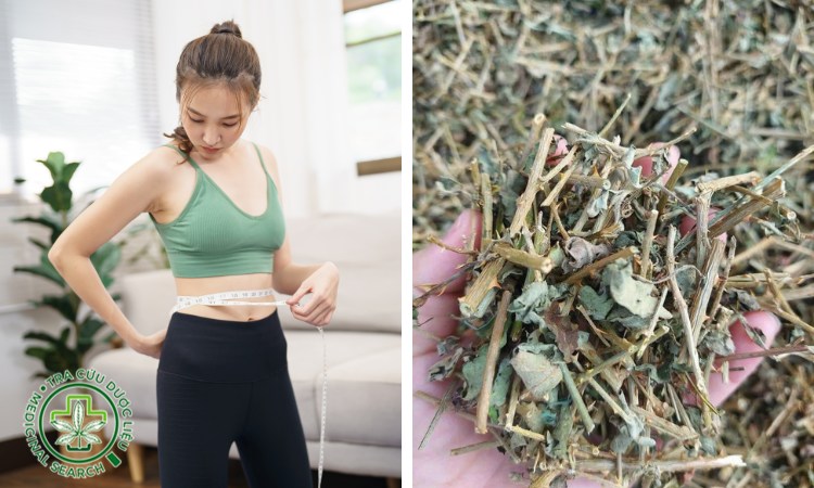 Theo y học hiện đại 1