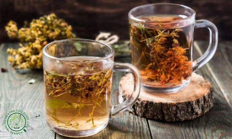 Cà gai leo uống tươi có độc, đắng hay khó uống không? 1