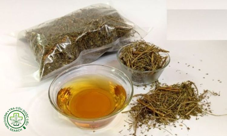 Sắc nước uống cà gai leo 1