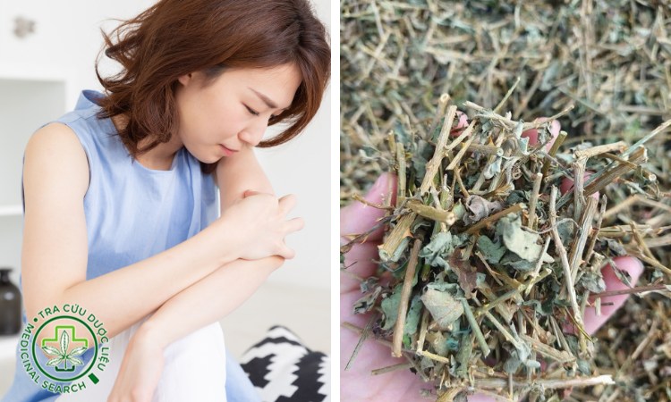 1.5. Do uống thảo dược không đạt chất lượng 1 1.5. Do uống thảo dược không đạt chất lượng 1