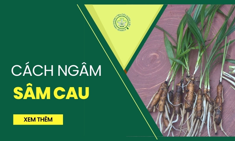 Hướng dẫn cách ngâm sâm cau đúng cách, an toàn 1