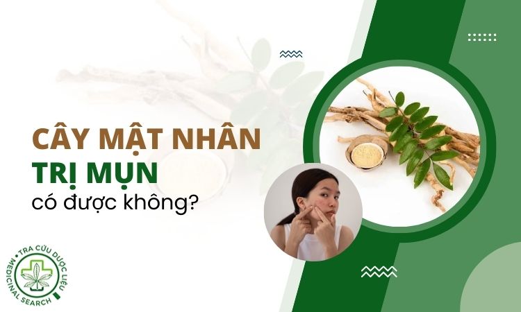 Cây mật nhân trị mụn được không? Giải đáp thắc mắc 1